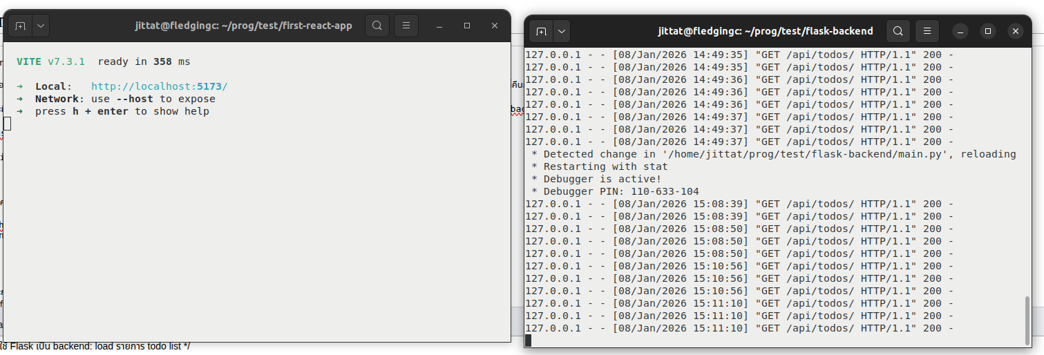 223-vite-flask-server-console.png